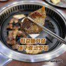 임(林)갈매기살전문점 | 대구 광코 젊코 맛집 20년 넘은 임갈매기살 웨이팅 납득 실패없는 추천