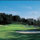 아리지 골프장 이미지