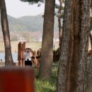 밀양인삼돼지국밥 이미지