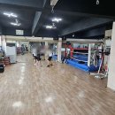포항청마복싱다이어트클럽 | 포항시 북구 포항청마복싱다이어트클럽, 가격, 후기, 영업시간
