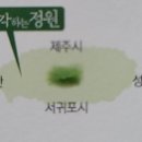 제주정원/큐브 네이버블로그