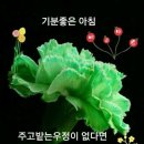 광산구-021 이미지