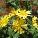 순박1농장 이미지