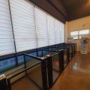 멍멍아학교가자 (대곡점) 이미지