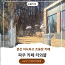 문산홈플러스앞사거리 | ☕🍰파주 문산 터와 뜰 카페 숨은 카페 지인 추천 카페 힐링 카페 내 돈 내산 후기