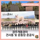 경주시 건천읍 운동장 이미지