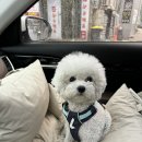 하이앤팜 이미지