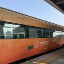 금빛발전소 | 서해금빛열차 후기 군산 비응마파지길 이성당