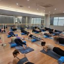 요가&소도구 필라테스 | 더센텀필라테스 방문하여 몸의 균형을 되찾은 더센텀필라테스요가소도구필라테스 운동 후기