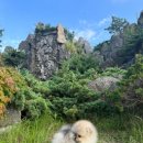디디에퍼피 네이버블로그