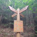 뽀뽀뽀유치원 | (40)광양 가야산(497m)...