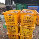 우주농장 이미지