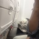 oz | 상하이 아시아나 기내식 OZ367, OZ362 후기(+J석)