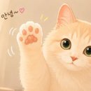 토정로 77 네이버블로그