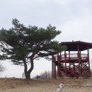 고성산 정상 전망대 이미지