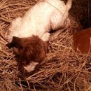 주산농장2 이미지