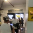 땡큐플랜트 | 렌트카, 하와이 72번 국도 83번국도 드라이브, 파타고니아, 돌플랜트, 와이켈레아울렛, 야드하우스, 무스비