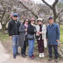 대명마을 회관 이미지