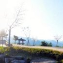 하동공원섬호정 이미지