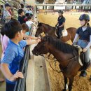 한국신체정보(주) 이미지