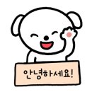 얀츄카페