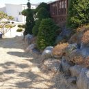 꿈의정원 펜션 이미지