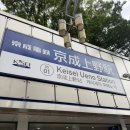 피그90 | [미니피그 일본여행] 도쿄 여행 '나리타공항↔우에노역' 게이세이본선/스카이라이너 후기