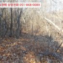 대전리마을회관 이미지