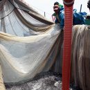 기선권현망수산업협동조합(멸치권현망수협) 이미지