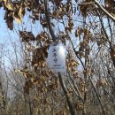 점동고등학교 이미지