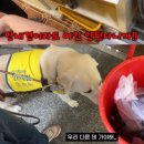 부산회집 이미지