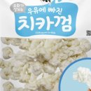 펫어스 이미지