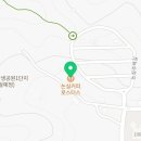 논실카 이미지