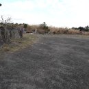 제주부동산중개사무소 이미지