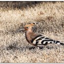 국채보상운동기념공원 이미지