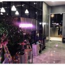 소나무 휘트니스 이미지