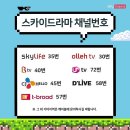 위플레이 이미지