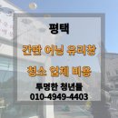 투명한청년들 이미지