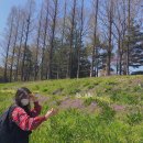 승기천 신연수역 이미지