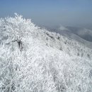 메아리 산악회 1월 셋째주 평창 계방산 눈꽃산행 이미지