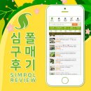 가연호프 - 강진군 영랑로3길 6-2 | [10/20] 심폴 생생 구매 후기 🌱💚💯 (안스리움크리스탈호프, 실바티쿰파이퍼, 에스쿠알레토)