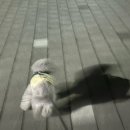 25년 3월 3/3 | 까탈레나