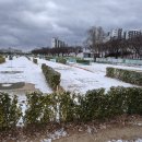 2025.12.12 강릉구장 휴장 안내 이미지