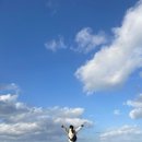 함비자 게스트하우스 네이버블로그