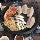 돼지박사