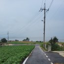 마파도민박 이미지