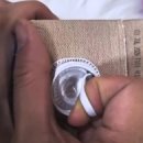 루이펫독 이미지