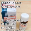 4월 18~19일 토요일 일요일 제주방 출석부 이미지