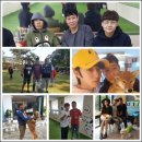 개밥주는 남자 | 강아지 방문훈련 비용 행복한 독파트너 교육 과정, 후기