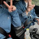 서포항농협하나로마트기북 | [공지] 포항 독채 한옥 “스테이 아른” 모던 후기